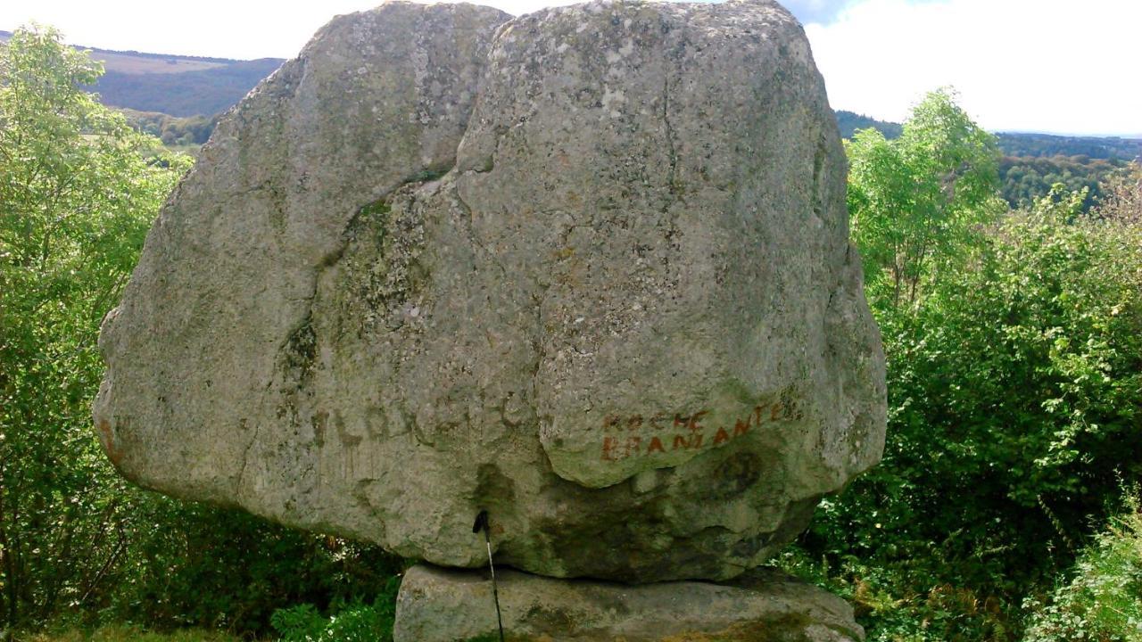 Lilas, Gite Saint Antoine, Orcival, Entre Sancy Et Volcans. Bagian luar foto